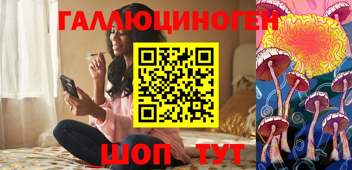 Галлюциногенные грибы Psilocybe Ростов Великий