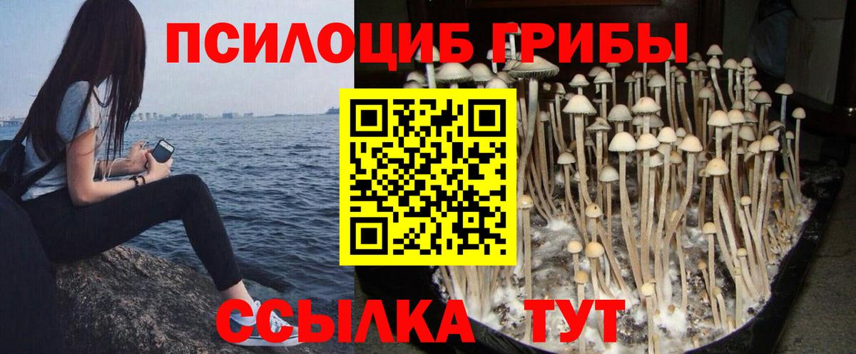 Галлюциногенные грибы Psilocybine cubensis  Псилоцибиновые грибы мицелий  Вход с VPN  Ростов Великий 